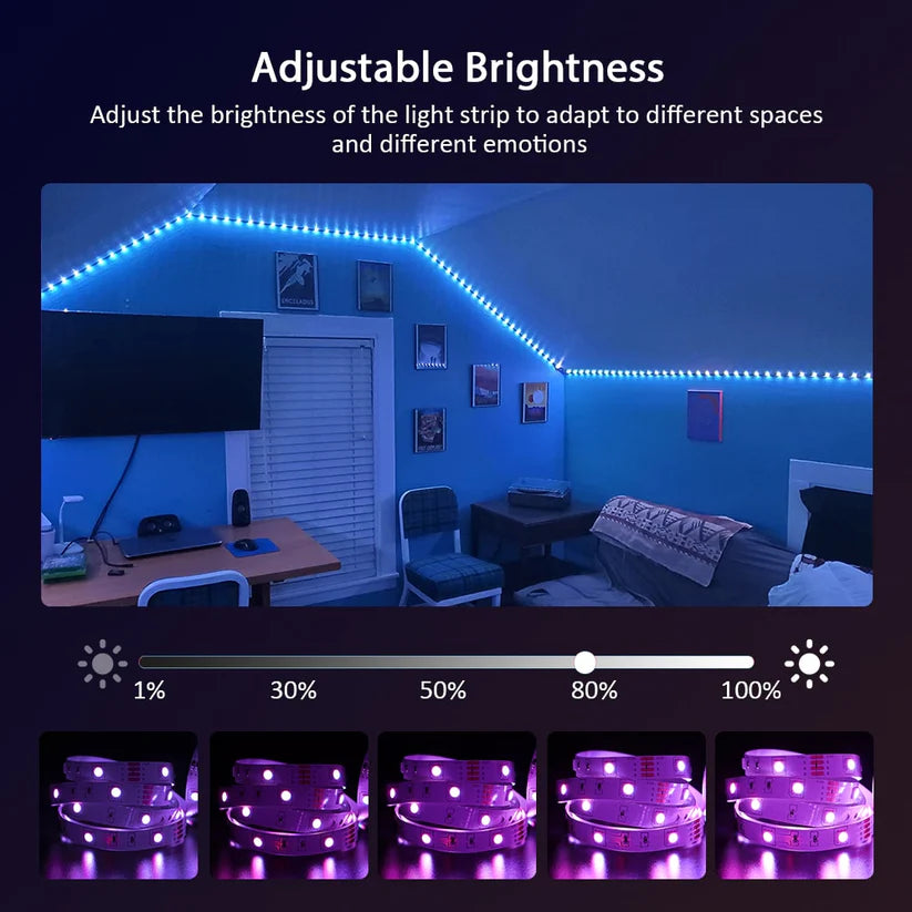 LED Strips